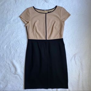 Ann Taylor Dress Size 10P